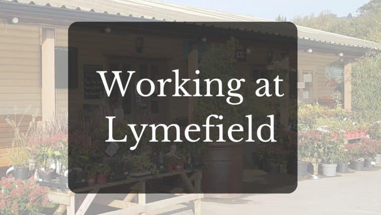 faded picture of the front entrance to Lymefield Garden Centre with the words Working at Lymefield over the top of the image.